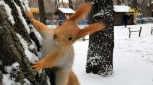 Саратов город мой родной! Красивая песня про Саратов!