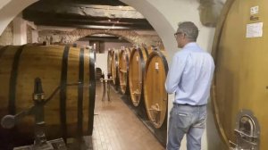 VIDEO TOUR CANTINA PALLADINO di Serralunga d'Alba (CN)