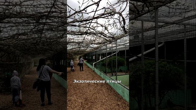 Куда съездить недалеко от Анапы с детьми? Парк До-До в станице Натухаевская.