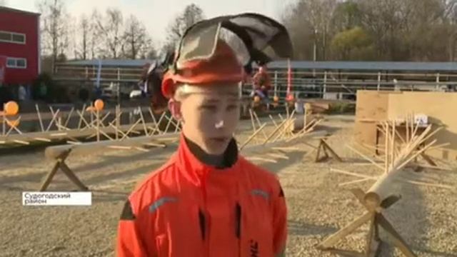 соревнования World skills. вальщик леса. Владимирская область