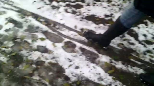 Первый снег и гимнастика