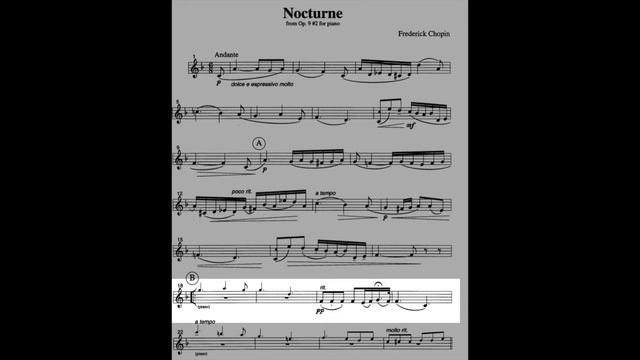NOCTURNE (F. Chopin) Horn & Piano смотреть онлайн