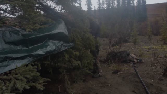 6-й день пути, мороз, мелководье, хищники. В борьбе за выживание 4. Охотник и Рыболов. смотреть онлайн