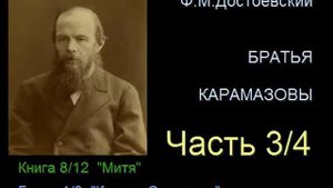 " Братья Карамазовы " - Часть 3/4 - Книга 8/12 - Глава 1/8