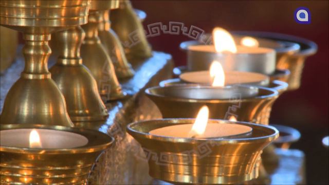 Змеи и лошади, лучше не рискуйте смотреть онлайн