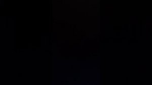 Нян Кэт 1 минута(без картинок)