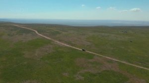 Охотники за грибами. Малай-Сары.