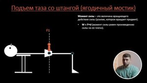 Подъем таза (ягодичный мостик). Какие мышцы работают? | БИОМЕХАНИКА