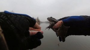 Ловля НАНОДЖИГОМ в ЛЕДЯНОЙ воде озера в ДЕКАБРЕ коротким спиннингом. Поймал ЛЯГУШКУ с ГЛУБИНЫ!