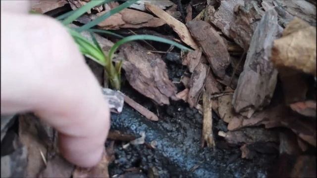Устройство Системы Автоматического Полива