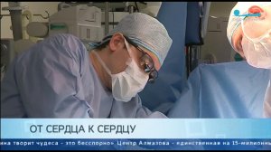 Спасительное сердце. Как работают трансплантологи Центра им. Алмазова. Телеканал Санкт-Петербург