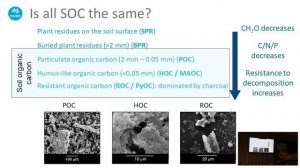 Riverland Soil Knowledge Day June 2022. Dr Mark Farrell discussing soil organic matter and carbon