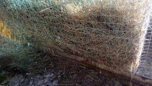 Правильное положение ячейки сетки на сеннике-кормушке для кроликов и размеры ячеек!