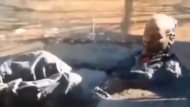 Свинья Всегда Найдет Грязь