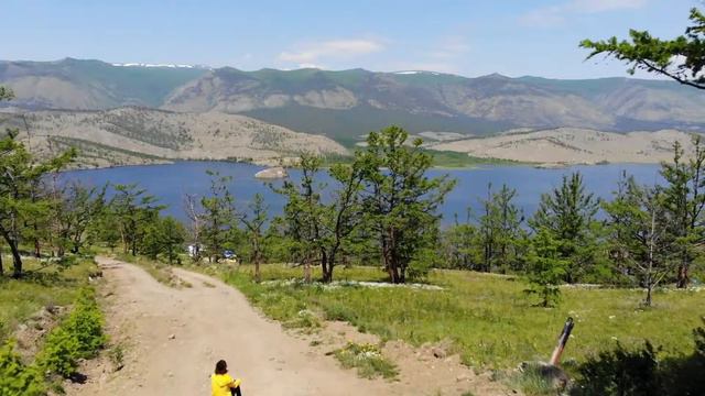 Сохтор.Трейлер