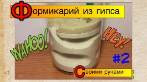 Формикарий из гипса своими руками // Выпуск 2