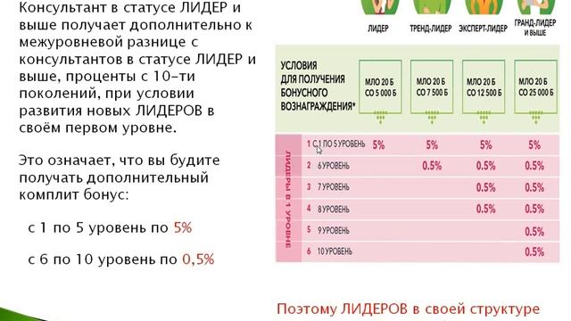 Маркетинг план компании Batel, Путешествия и Автомобильная программа смотреть онлайн