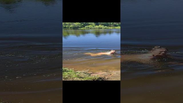 1000042526.mp4