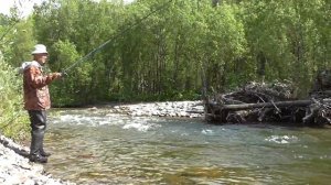 10дней в глухой тайге Хакасии. (grayling fishing in the wild Siberian forest. wildlife)