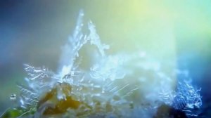 Новогодний тост - Владимир Слепак.