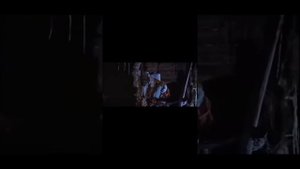 Мадам Брошкина