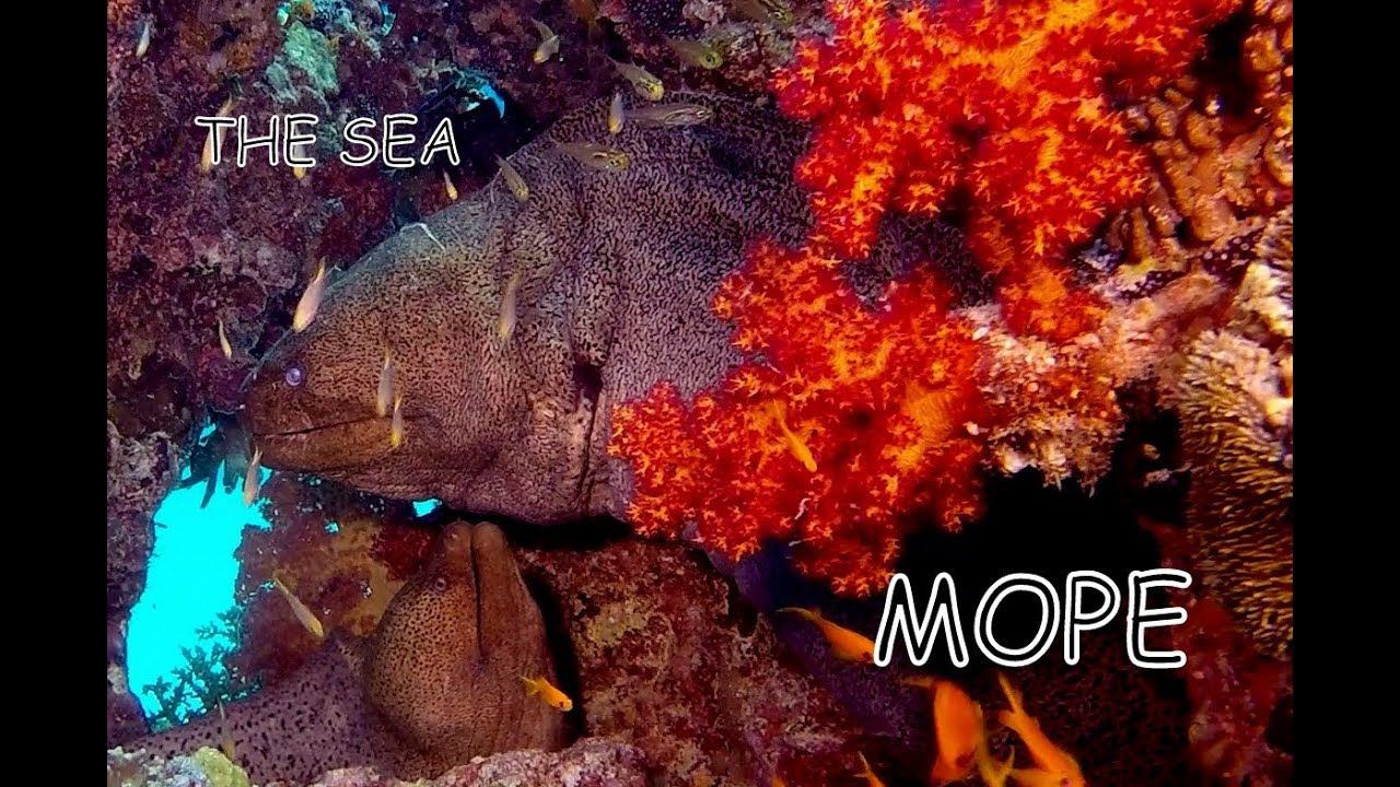 Море