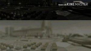 Как видят Кошки Мир?