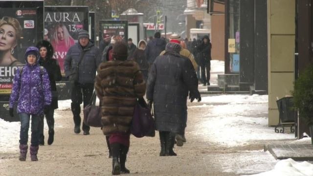 Большинство жителей Воронежской области устраивает положением дел в стране