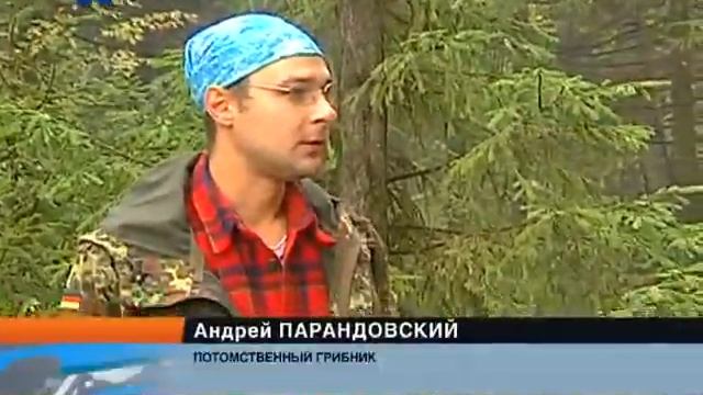Грибник