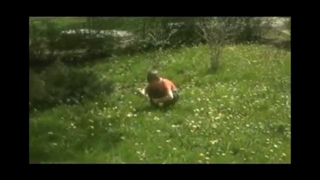 Одуванчики цветы беззащитные смотреть онлайн