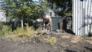 Большой Урожай Картофеля. Как Вырастить Огромный Урожай Картофеля. Наш Супер Рекорд"Возьми и сделай