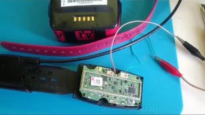 Ремонт ошейников Т5