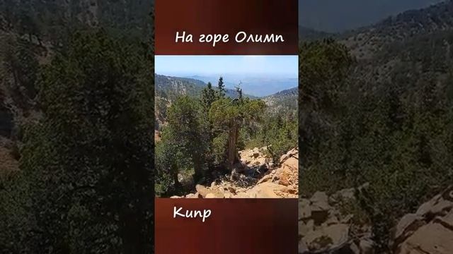 На горе Олимп.  Кипр #shorts