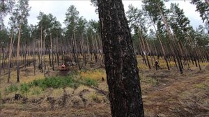 Азбука эндуро с Михаилом Бурцевым. Продолжаем про перестановки на склоне или Тики-таки. ч.5