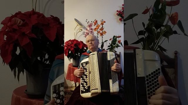 Музыка играет на ночном бульваре, приглашает пары танцевать. смотреть онлайн