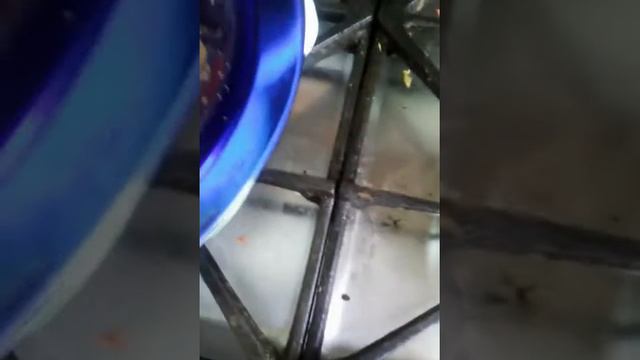 мармелад в молочном шоколаде смотреть онлайн