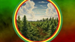 Dub Reggae Music - Chill Vibes_ Dub Reggae Relaxation(360P).mp4