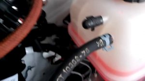 УМЗ 42164 обзор двигателя для газели бизнес