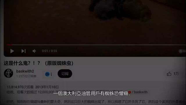 7个网络上最诡异震撼私人记录的恐怖悬疑视频