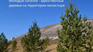 Поездка в Костомарово