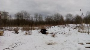 Лорд и Граф 4