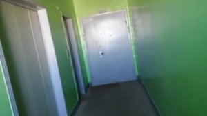 Электрический лифт Мослифт V=1 м/с, г-п 500 кг (267)