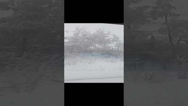 Еду домой на поезде)))