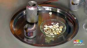 Попкорн на природе. Жить здорово! Фрагмент выпуска от 15.08.2017