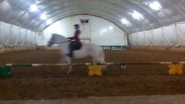 Кск Александрова дача. Новогодние выступление. Выездка. смотреть онлайн