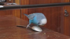 Куда пропадают ложки :)