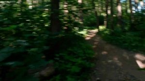 Пример виде с экшен камеры Digma DiCam 880, режим съемки 2,7К 60 FPS