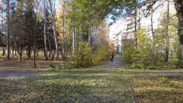 Краснообск осенью 2021 года