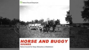 Horse and Buggy Sounds