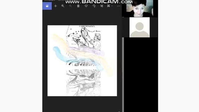 24 -5 Arbeiten mit dem Bild der Constellation Hounds Dogs_Работа с изображением Созвездия Гончие Пс